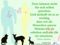 stimme