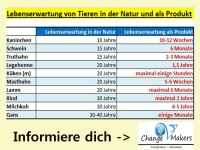 tabellelebenserwartung