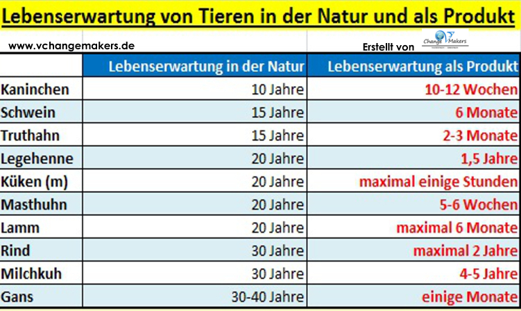 Vergleich der maximalen Lebenserwartung von Nutztieren und Tieren in der freien Natur