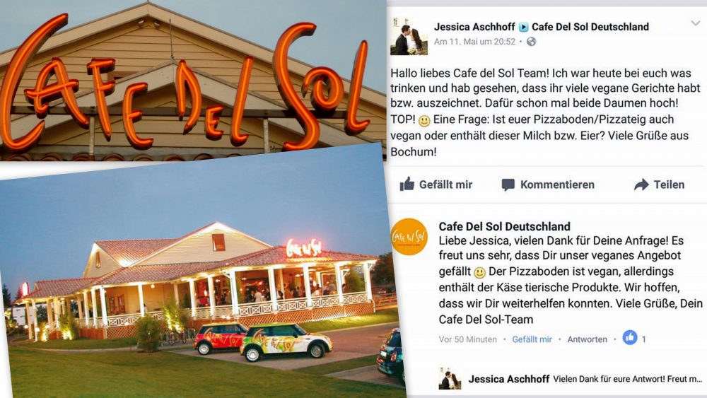 Cafe del Sol: Vegane Pizza und andere tolle pflanzliche Gerichte!