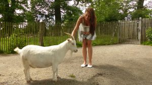 tierpark-sababurg-hofgeismar-tiere-familienausflug