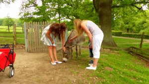 tierpark-sababurg-hofgeismar-tiere-familienausflug