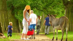 tierpark-sababurg-hofgeismar-tiere-familienausflug