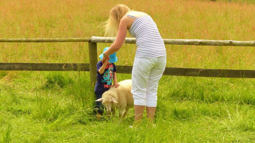 tierpark_sababurg_hofgeismar_tiere_familienausflug