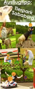 Tierpark-Sababurg-Ausflug-pinterest