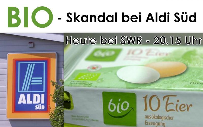 TV-Tipp: Aldi Süd entlarvt! Bioeier stammen aus Massentierhaltung – SWR – 20.15 Uhr – 13.6.2017