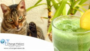 green-smoothie-grüner-smoothie-Shake1