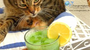 green-smoothie-grüner-smoothie-Shake1