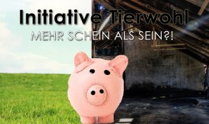 initiative-tierwohl-verbrauchertäuschung