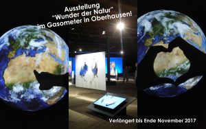 Ausstellung---Wunder-der-Natur--Gasometer-titelbild