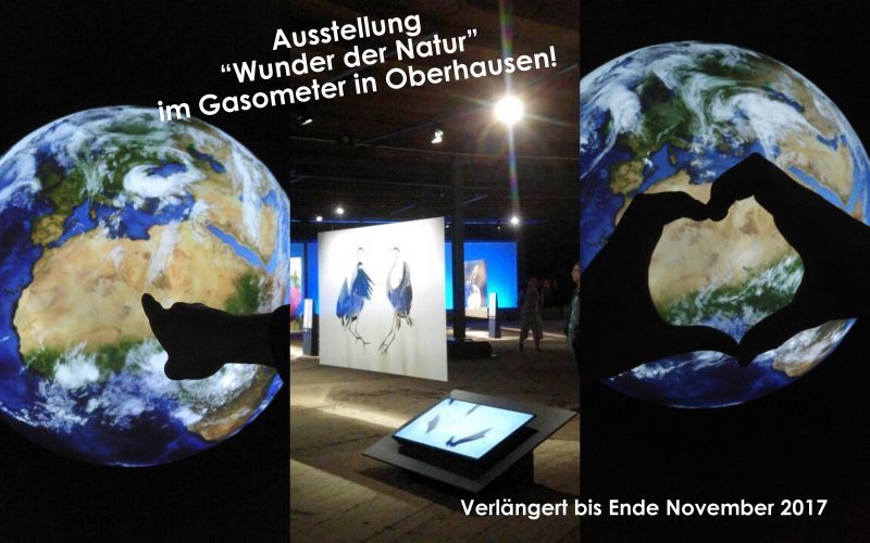 Ausflugtipp: Ausstellung „Wunder der Natur“ im Gasometer Oberhausen