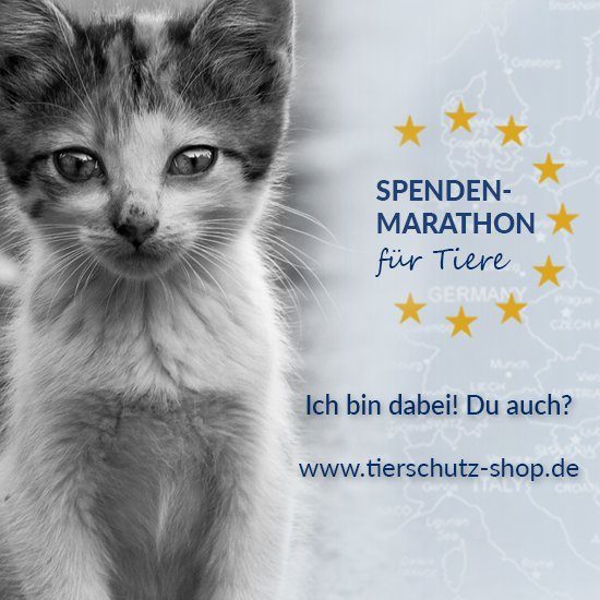 Dein Geschenk für Tiere in Not: SPENDEN Marathon für hungernde Tiere