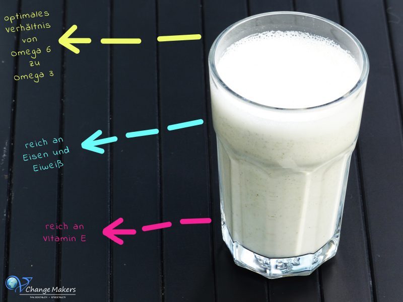 Rezept: Hanfsamenmilch mit nur 2 Zutaten in 15 Sekunden
