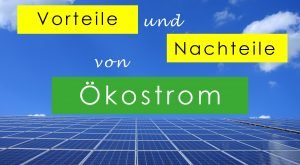 Es war noch nie so wichtig über seine Energieversorgung nachzudenken wie jetzt. Mit Ökostrom, insbesondere veganem Strom, die Umwelt und Tiere schützen