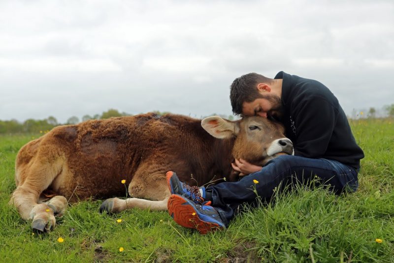 Felix berichtet ausführlich, wie Jan Gerdes von Hof Butenland und seine Worte dafür sorgten, dass er vegan wurde und wie wichtig es generell ist sich bewusst zu machen, dass es kein Tierprodukt ohne Leid gibt