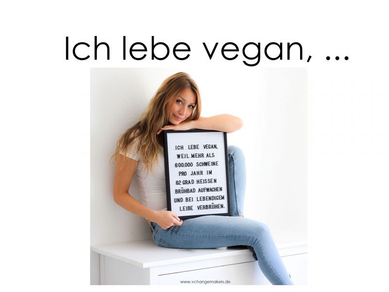 Ich lebe vegan, weil Schweine im Brühbad aufwachen und grausam sterben