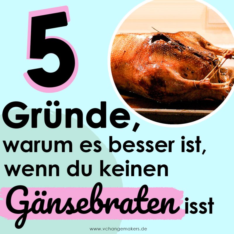 Gänsebraten Hintergründe Weihnachtsgans Tierleid