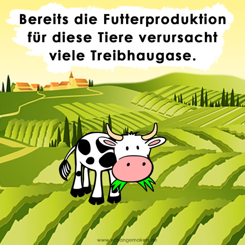 Butter killt unser Klima! Die Haltung und Futterproduktion der Kühe lässt Unmengen an CO2 und Methan entstehen. Doch es gibt eine einfache Lösung