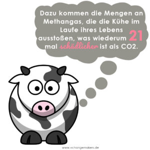 Butter killt unser Klima! Die Haltung und Futterproduktion der Kühe lässt Unmengen an CO2 und Methan entstehen. Doch es gibt eine einfache Lösung