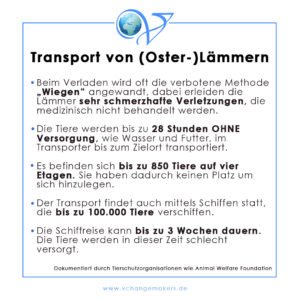 Ein Osterlamm ist nichts anderes als ein Säugling bzw. ein Baby. Die Haltung von Lämmern, der Transport und die Schlachtung sind alles andere als friedlich.