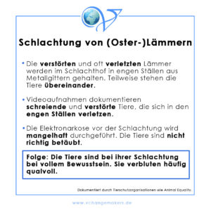 Ein Osterlamm ist nichts anderes als ein Säugling bzw. ein Baby. Die Haltung von Lämmern, der Transport und die Schlachtung sind alles andere als friedlich.