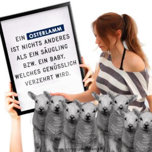 Ein Osterlamm ist nichts anderes als ein Säugling bzw. ein Baby. Die Haltung von Lämmern, der Transport und die Schlachtung sind alles andere als friedlich.