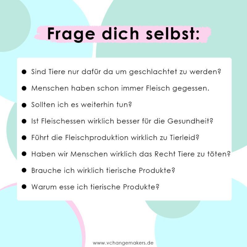 Haustiere lieben und Fleisch essen. Was wäre, wenn dein Haustier als Nutztier geboren wäre? Erlernte Verhaltensweisen u. Glaubenssätze kritisch hinterfragen