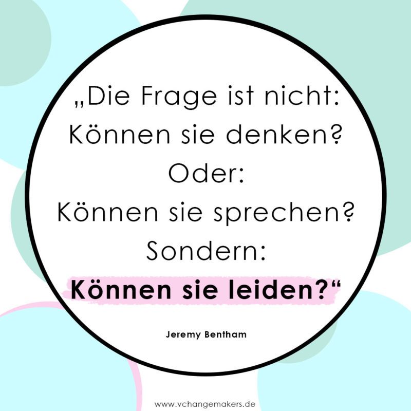 Haustiere lieben und Fleisch essen. Was wäre, wenn dein Haustier als Nutztier geboren wäre? Erlernte Verhaltensweisen u. Glaubenssätze kritisch hinterfragen