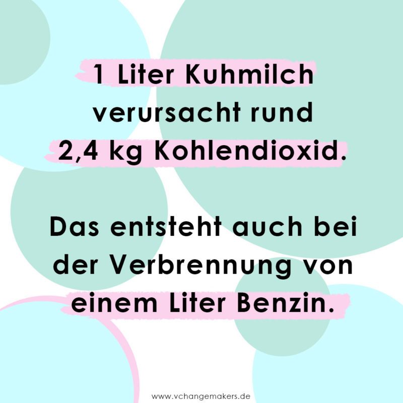 Es ist viel einfacher als du denkst auf Kuhmilch zu verzichten! ! Ich gebe dir 4 Tipps und Empfehlungen für deinen perfekten veganen Kaffee und Milchschaum!