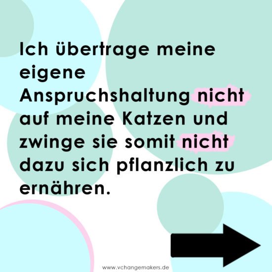 Vegane Katzenernährung ist ein heiß umstrittenes Thema unter Veganern. Erfahre nun, weshalb ich meine Katzen definitiv nicht vegan ernähre.