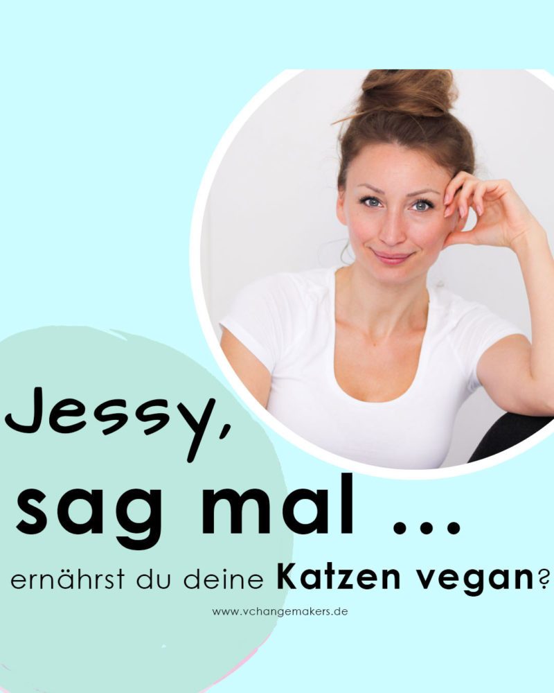Jessy, sag mal: Ernährst du deine Katzen vegan? – Vegane Katzenernährung