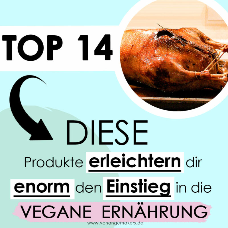 So klappt es mit dem vegan werden! Top vegane Produkte, die dir beim Einstieg in die vegane Ernährung enorm helfen! Vegane Alternativen für alles