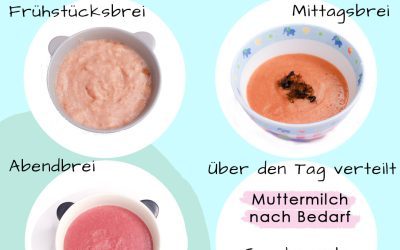 Was (m)ein veganes Baby am Tag isst – Vegane Beikost leicht gemacht