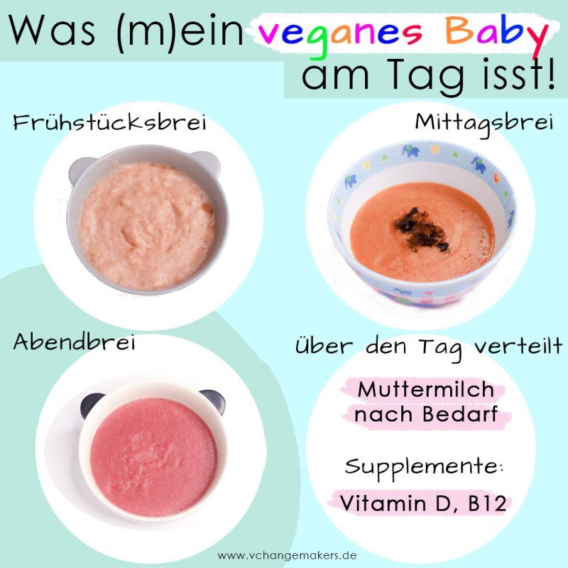 Vegane Beikost leicht gemacht! Schau was mein veganes Baby am Tag isst - Vegane Babybreie für den ganzen Tag + wichtige Tipps!