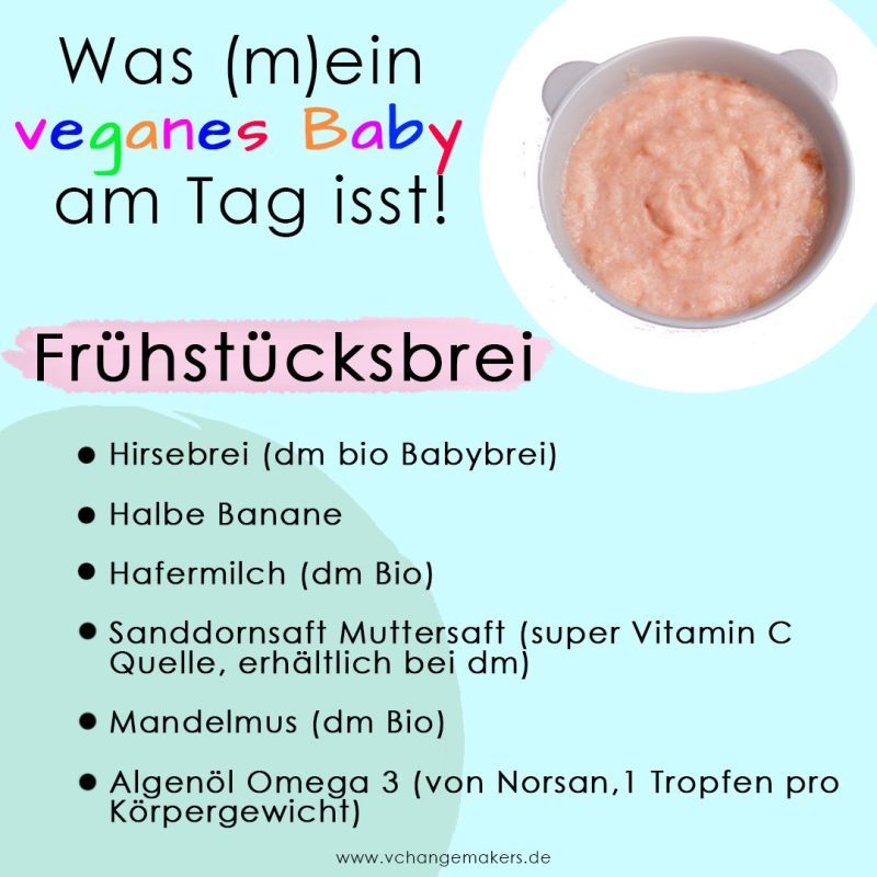 Vegane Beikost leicht gemacht! Schau was mein veganes Baby am Tag isst - Vegane Babybreie für den ganzen Tag + wichtige Tipps!