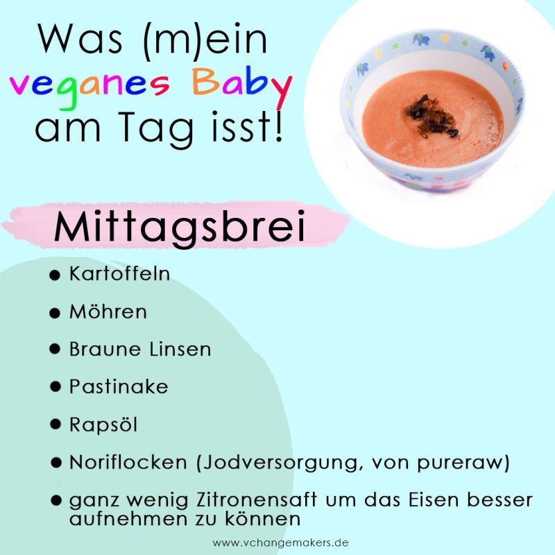 Vegane Beikost leicht gemacht! Schau was mein veganes Baby am Tag isst - Vegane Babybreie für den ganzen Tag + wichtige Tipps!